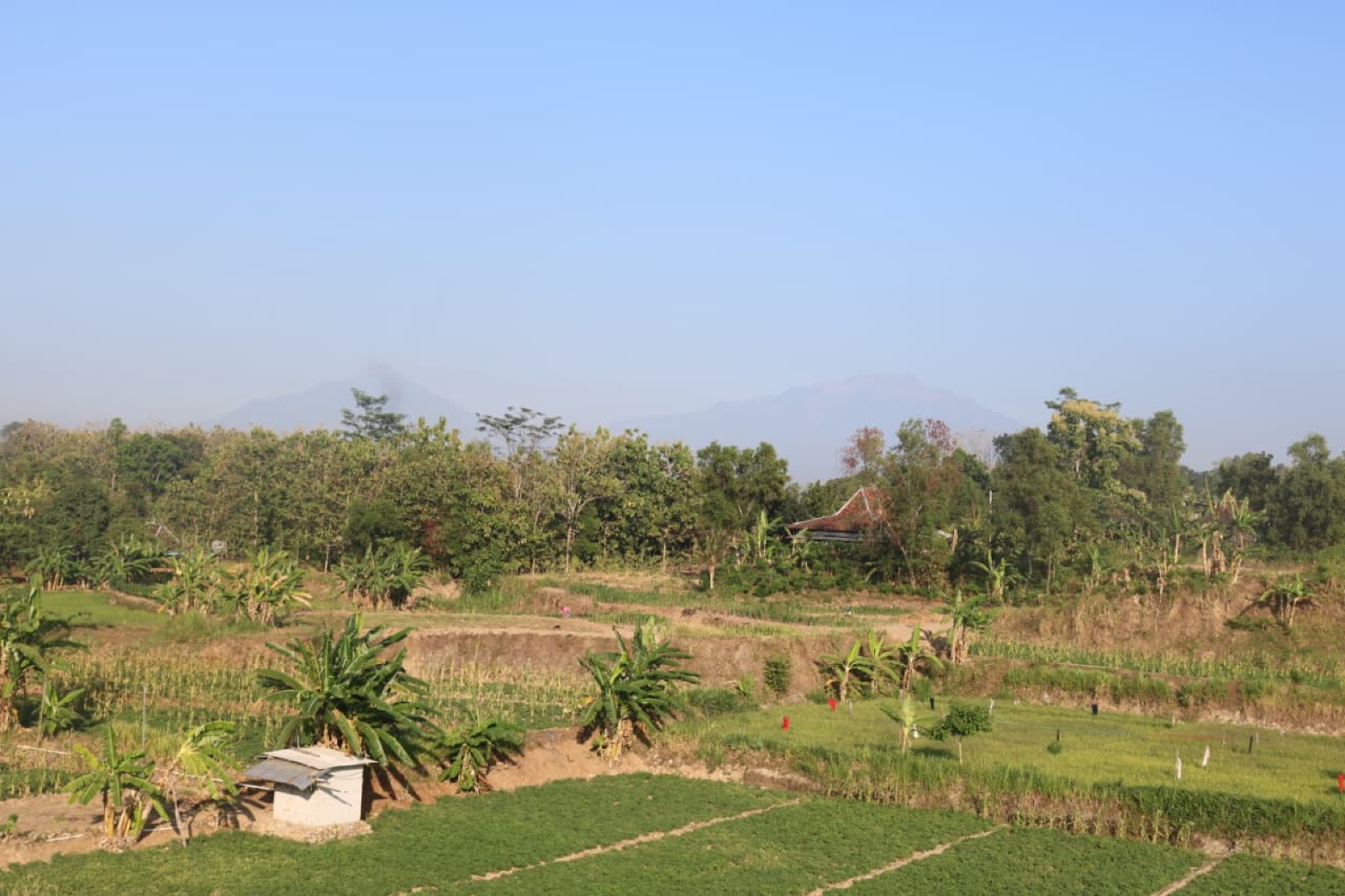 Foto galeri