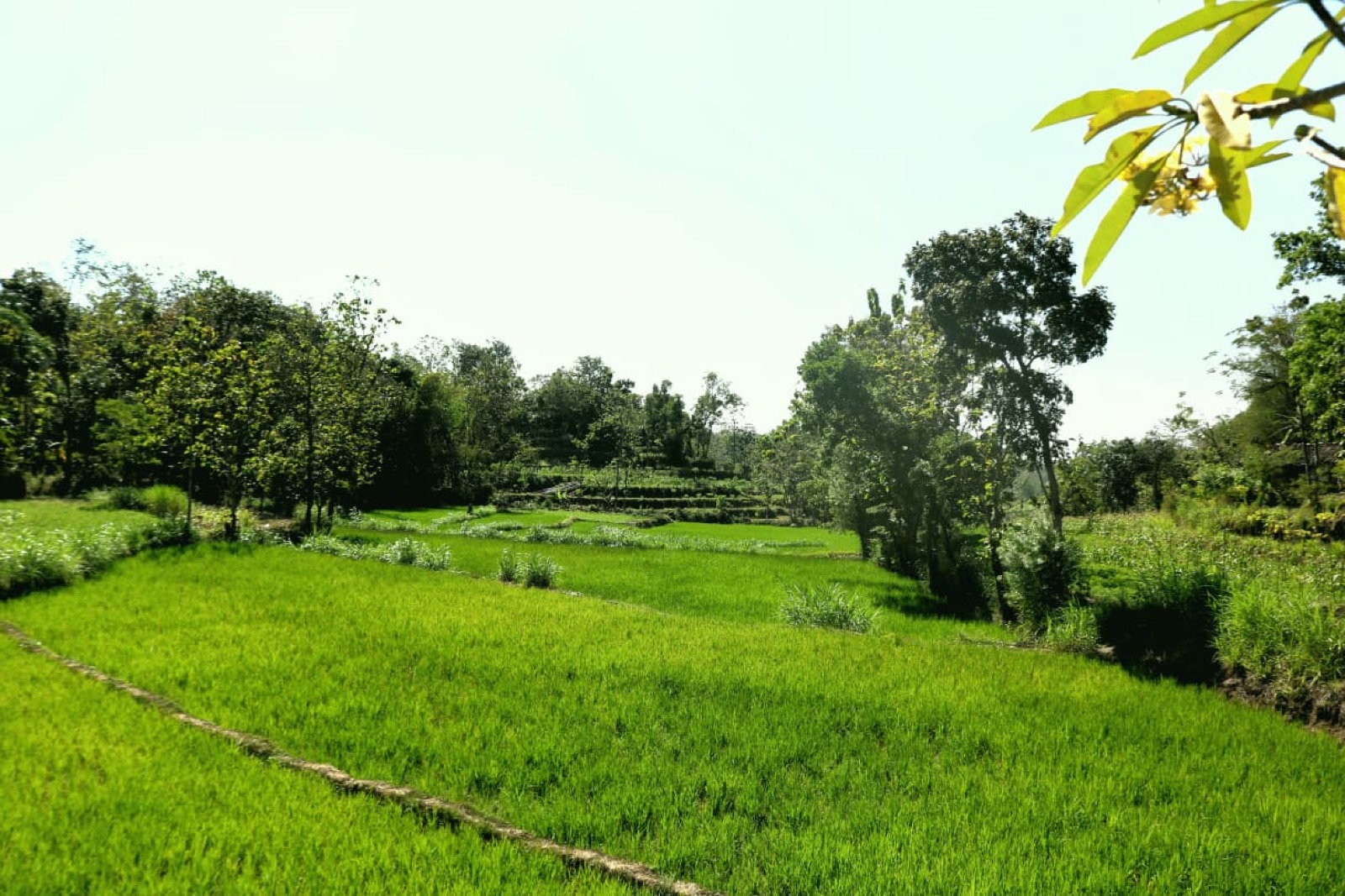 Foto galeri