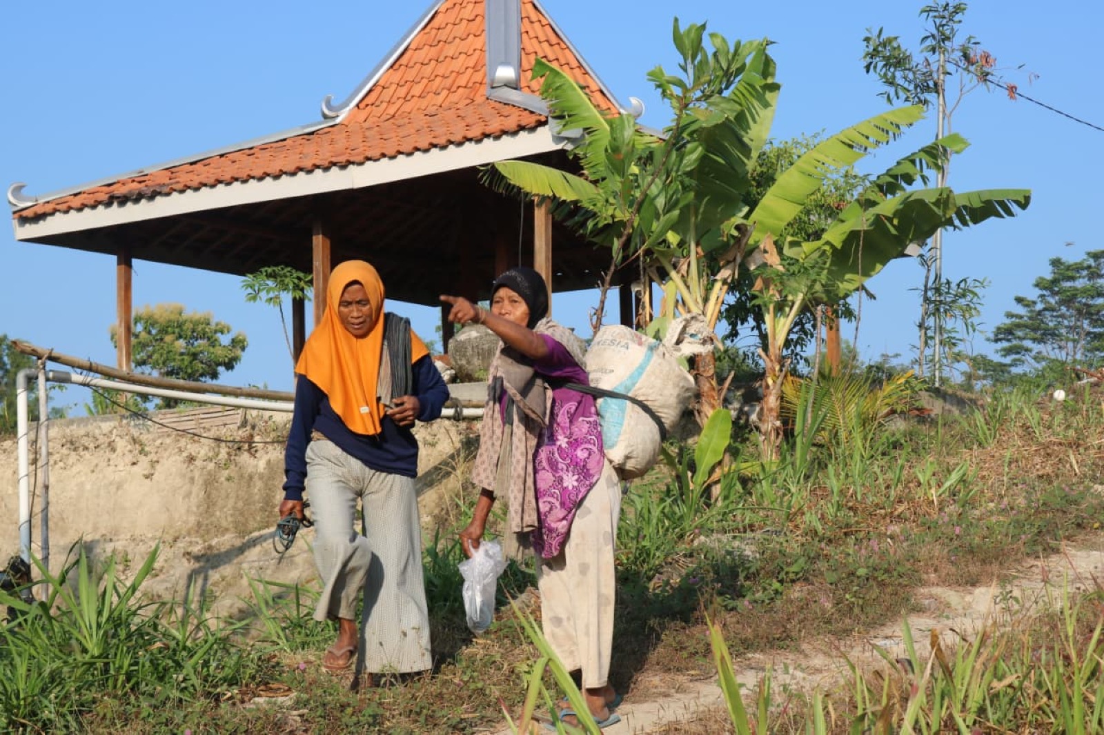 Foto galeri